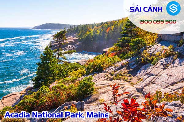 Vườn Quốc gia Acadia (Acadia National Park)