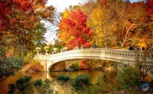 Mùa thu tại Central Park