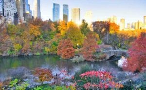 Hồ tại Central Park