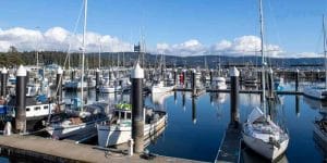 Khu vực Bến tàu Crescent City (Crescent City Harbor Area)