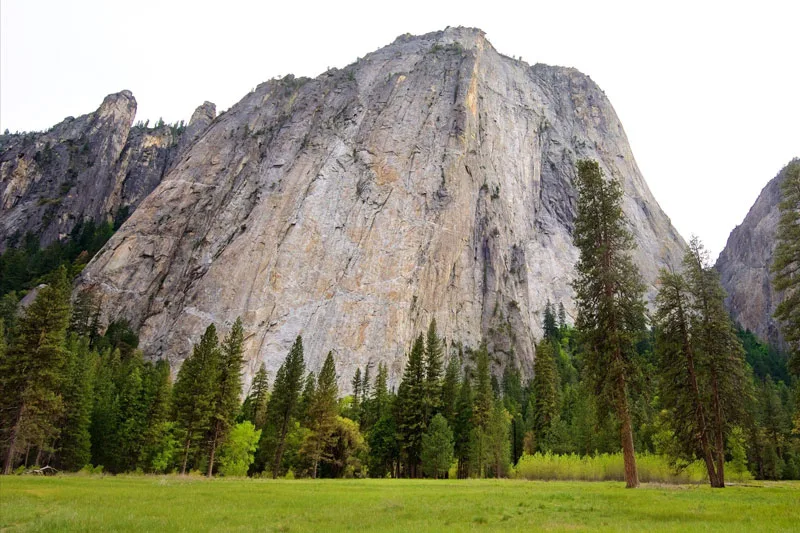 El Capitan Meadow