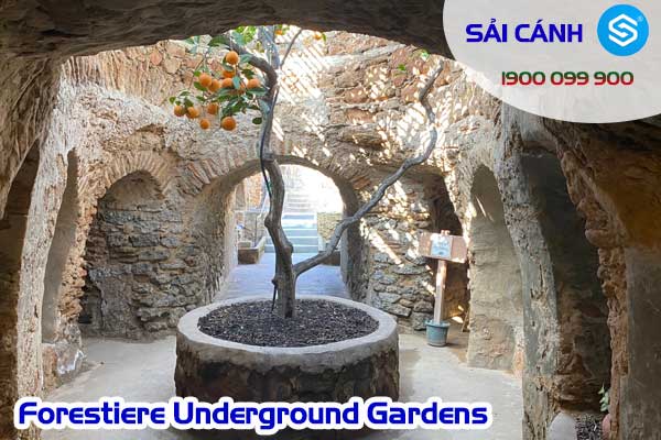 Forestiere Underground Gardens: Khu vườn ngầm kỳ ảo