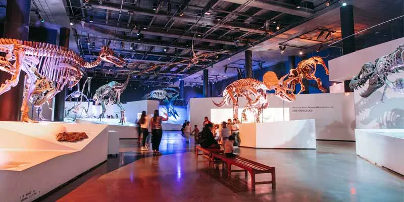 Houston Museum of Natural Science
