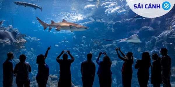 The Florida Aquarium