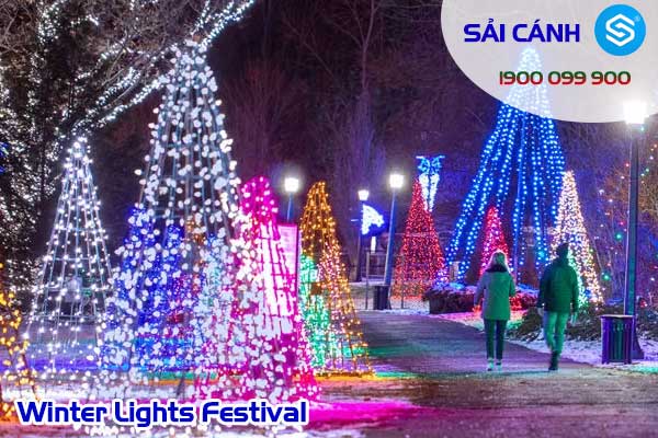 Lễ hội ánh sáng mùa đông (Winter Lights Festival)