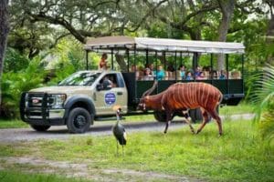 ZooTampa at Lowry Park
