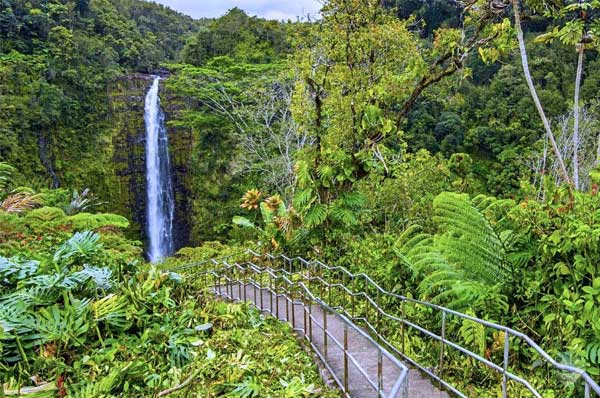 Thác Akaka (Akaka Falls State Park)