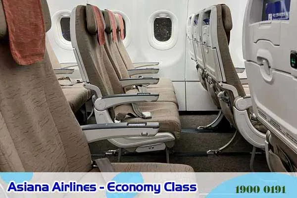 Khoang Hạng Phổ Thông Asiana Airlines