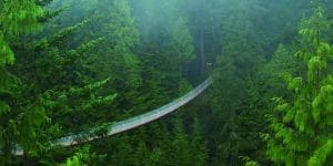 Cầu Treo Capilano (Capilano Suspension Bridge Park)