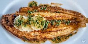 Cá đế Dover (Dover Sole)