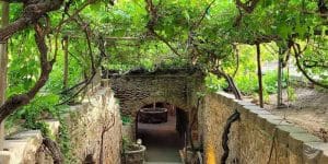 Forestiere Underground Gardens: Khu vườn ngầm kỳ ảo