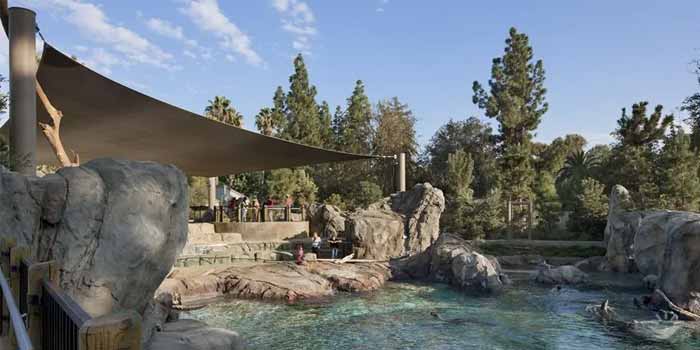 Fresno Chaffee Zoo: Thế giới động vật hoang dã