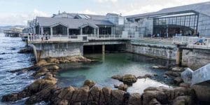 Thủy cung Vịnh Monterey (Monterey Bay Aquarium)