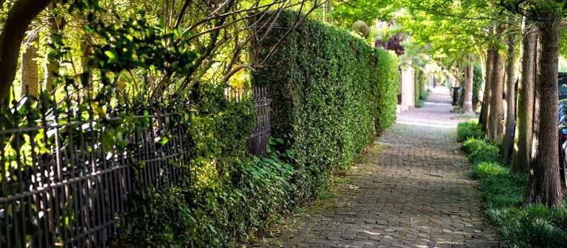Garden District