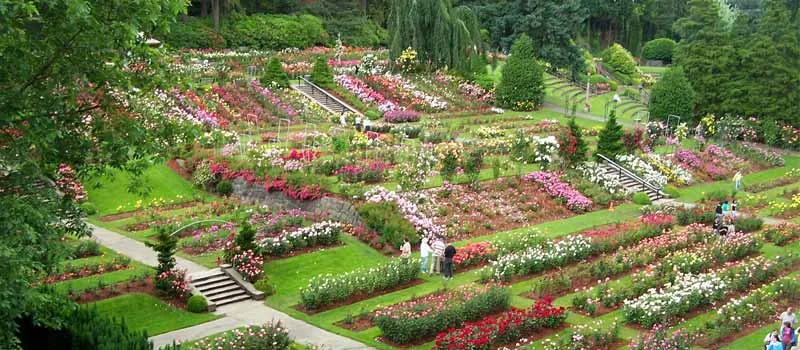 Vườn Hồng Portland