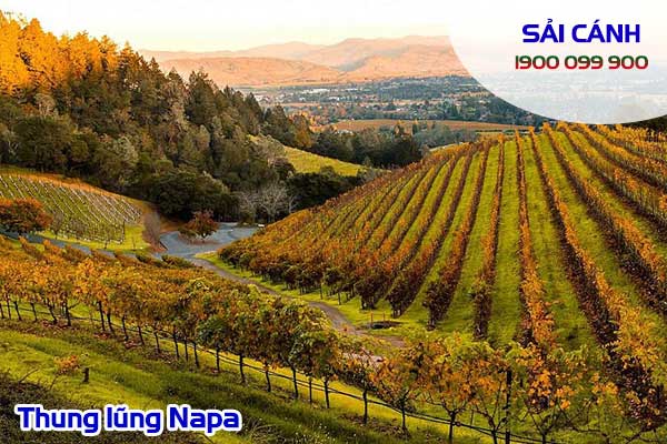 Thung lũng Napa