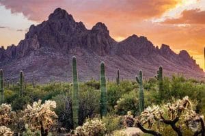 Núi Tucson: Vẻ đẹp hùng vĩ của sa mạc Sonoran
