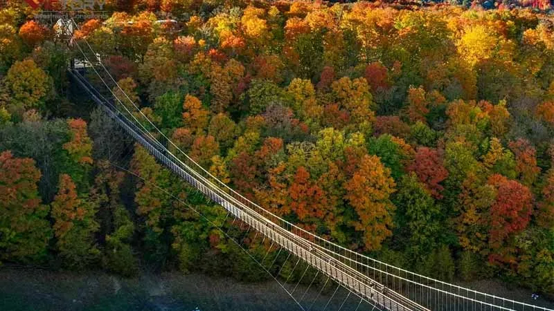 Vé máy bay đi Michigan, Hoa Kỳ giá rẻ