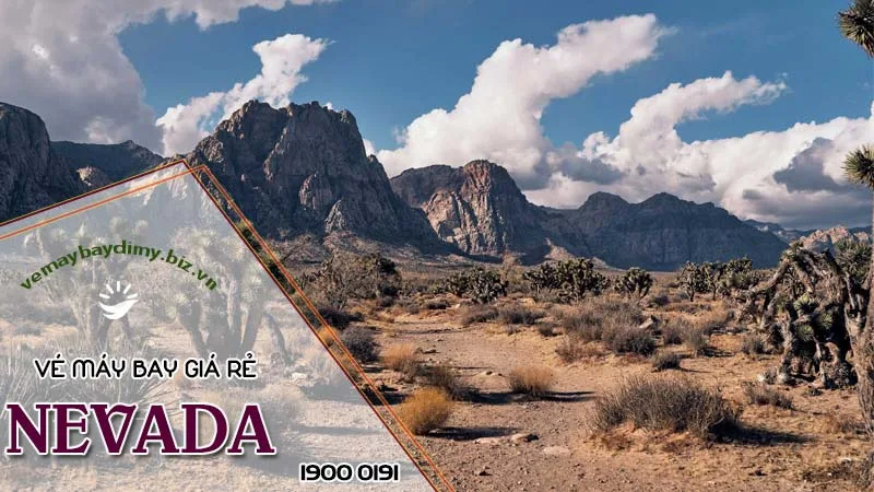 Vé máy bay đi Nevada giá rẻ