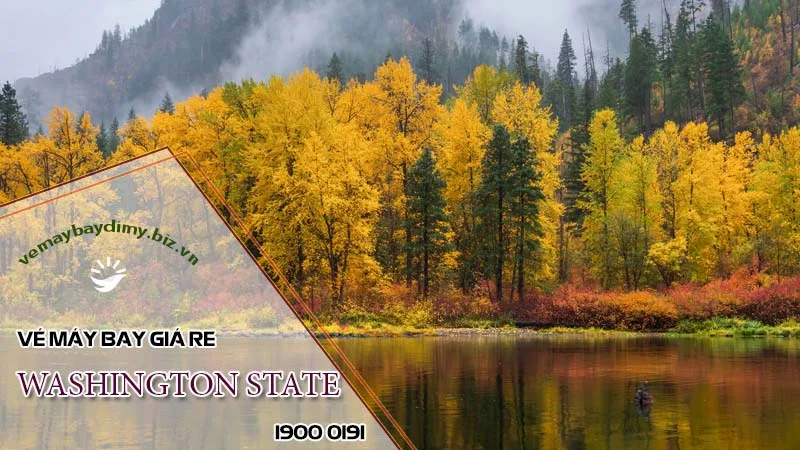 Vé máy bay đi Washington State (Seattle, Spokane)